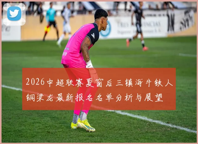 2026中超联赛夏窗后三镇海牛铁人铜梁龙最新报名名单分析与展望