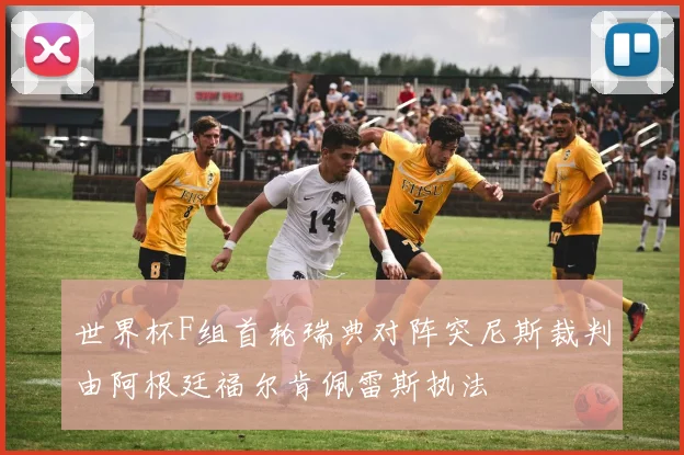 世界杯F组首轮瑞典对阵突尼斯裁判由阿根廷福尔肯佩雷斯执法